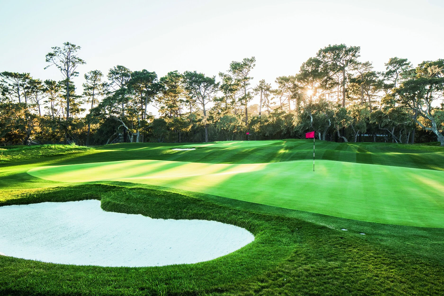 Golf Tour Specialist for USA and Japan golf tours